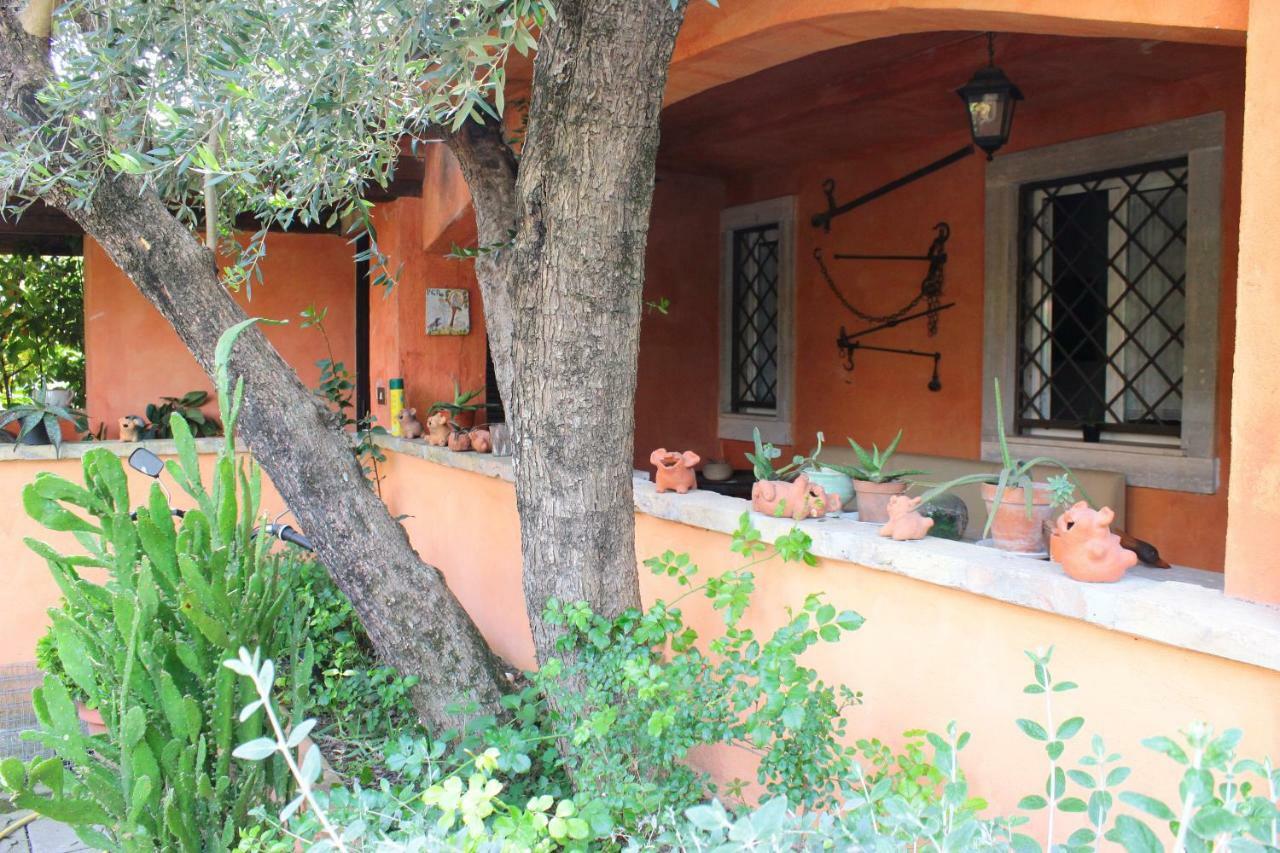סנטה מרתה B&B Country Lemon מראה חיצוני תמונה